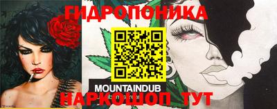 меф Комсомольск-на-Амуре