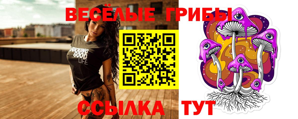 Галлюциногенные грибы прущие грибы Железногорск