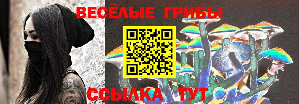хочу   Псилоцибиновые грибы MAGIC MUSHROOMS  Вход с VPN  Галлюциногенные грибы MAGIC MUSHROOMS  Железногорск 
